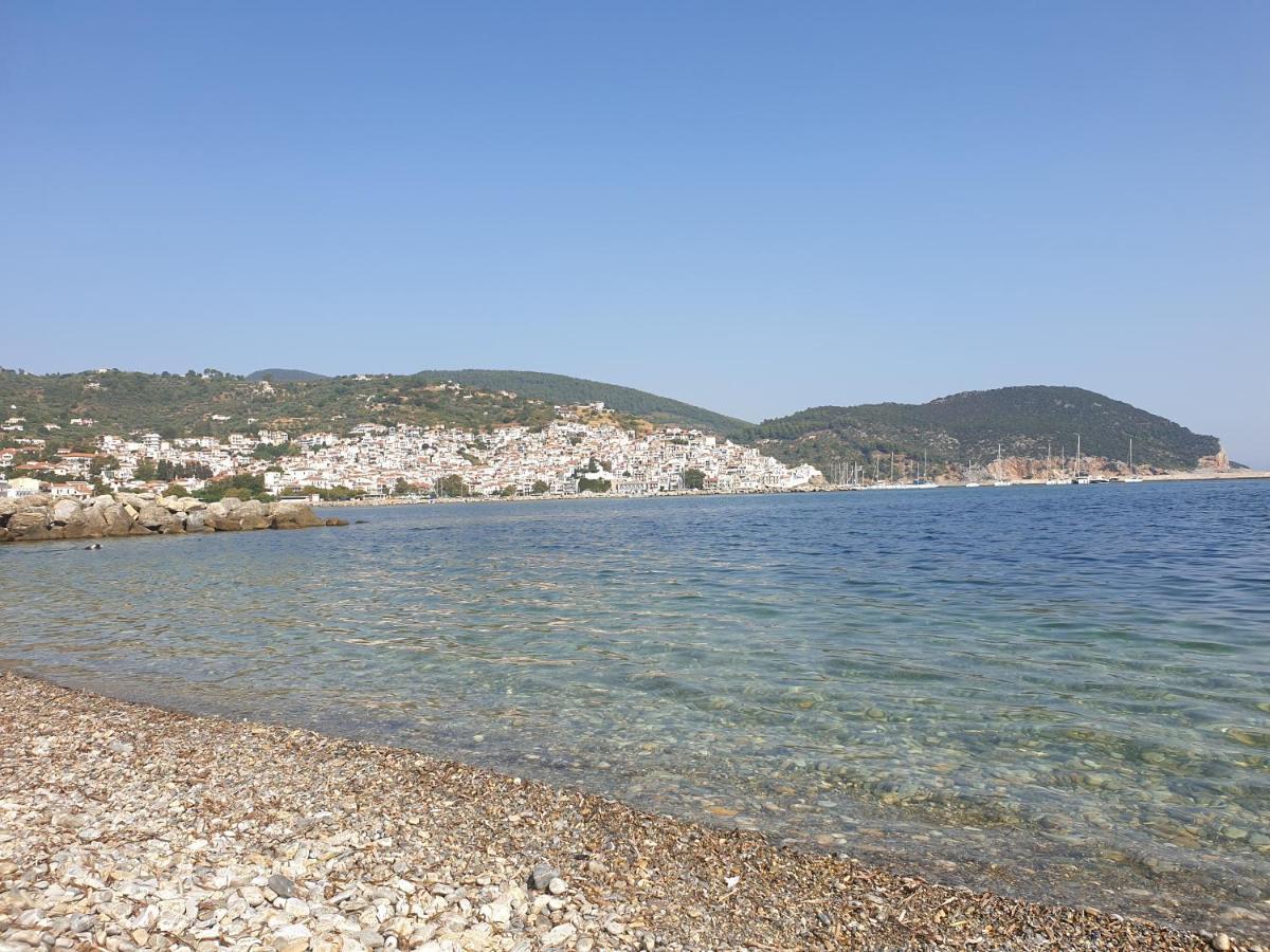Lovely One-Bedroom Flat In Skopelos Екстериор снимка